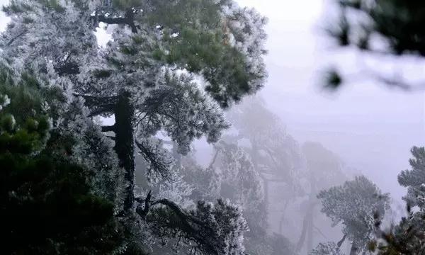 快要单招考试了，数学差到初中和高中的题一点儿都看不懂，现在还在补小学，因为是自学没有老师报不起班？
