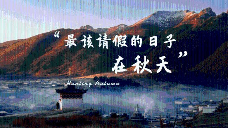 没有空悬也能赢BBA？蔚来底盘OTA，用算法打败调校玄学