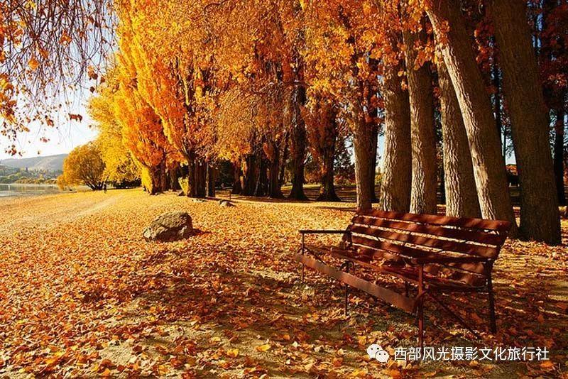 吃水果的蛇