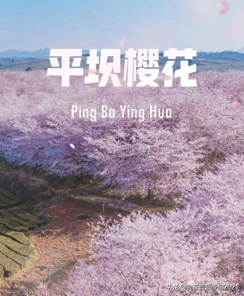 地铁跑酷hc版本下载游戏画面