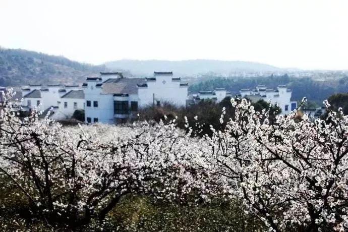逃出重围第一章