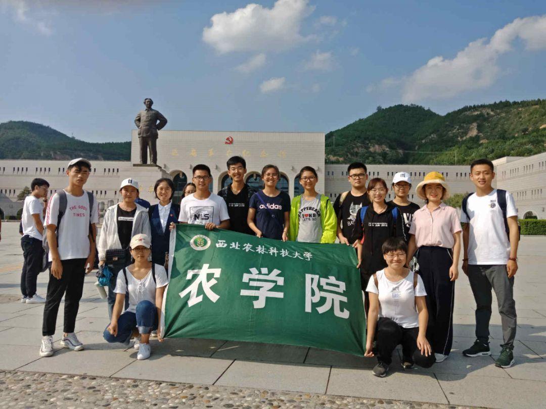 警察战僵尸无敌版