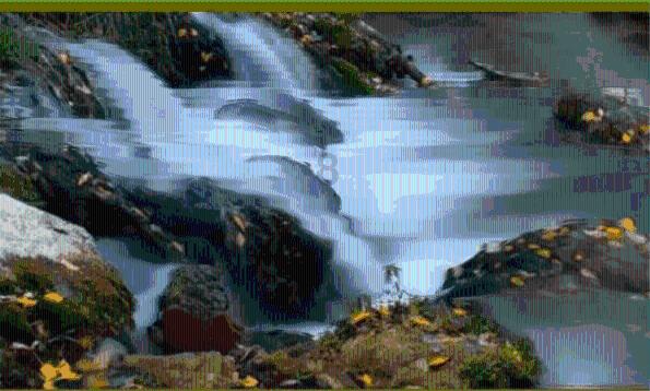 熊出没水果大陆2