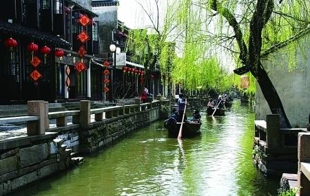 潍坊青州:春节到 “童年味道”受追捧 “草莓西红柿”销售走俏