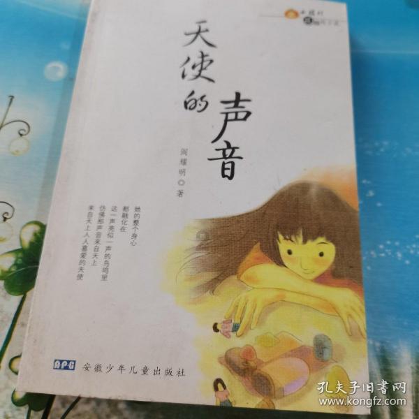 第二届“海南公共外交论坛”召开 柯银斌作主旨发言